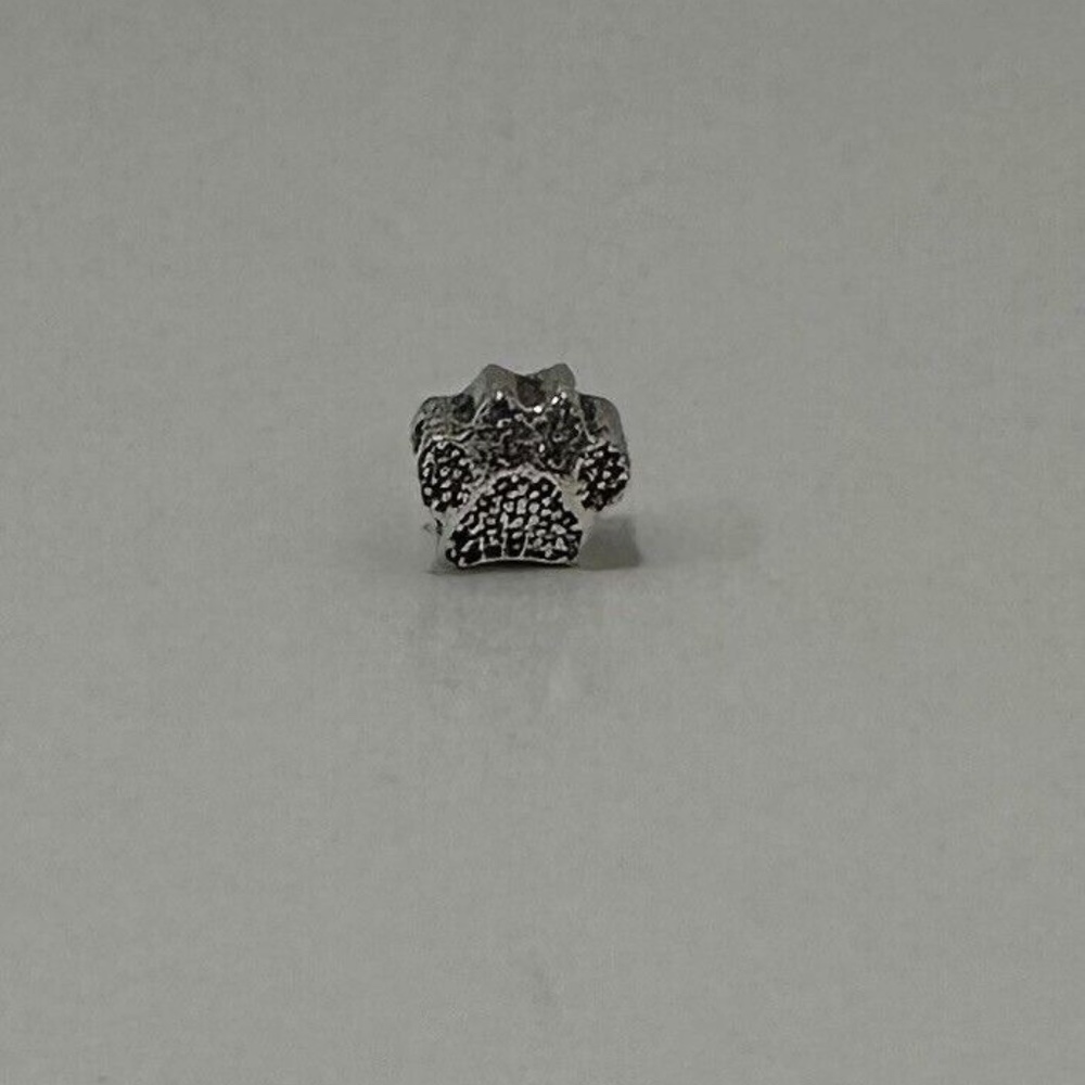 Dog Paw Charm Silver Bracelet/Necklace